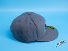 Black Fly Industries Flexfit 210 Flat Bill hat - Grey